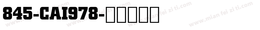 845-CAI978字体转换