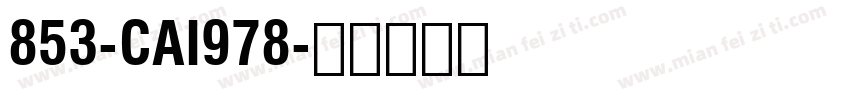853-CAI978字体转换