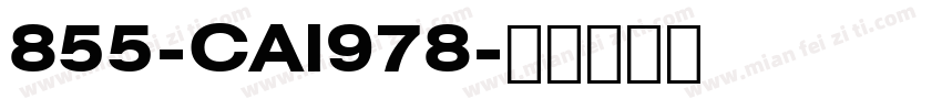 855-CAI978字体转换