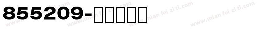 855209字体转换