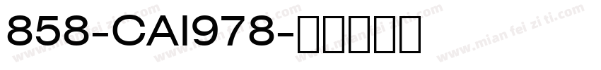 858-CAI978字体转换