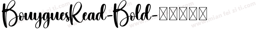 BouyguesRead-Bold字体转换