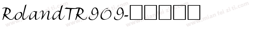 RolandTR909字体转换