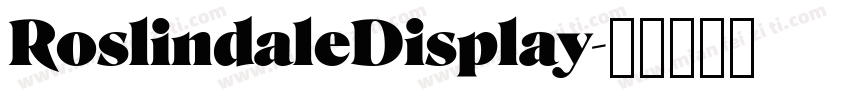 RoslindaleDisplay字体转换