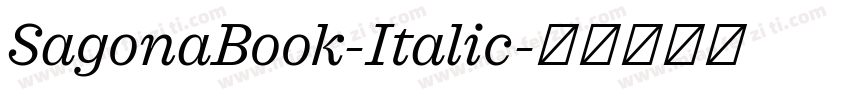 SagonaBook-Italic字体转换