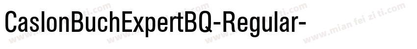 CaslonBuchExpertBQ-Regular字体转换