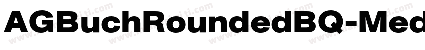 AGBuchRoundedBQ-Medi字体转换
