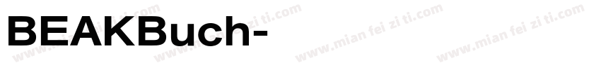 BEAKBuch字体转换