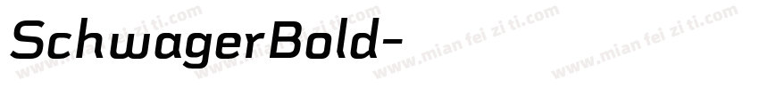 SchwagerBold字体转换