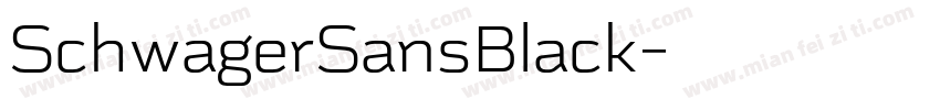 SchwagerSansBlack字体转换