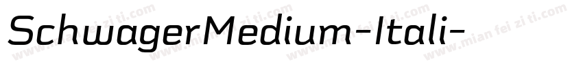 SchwagerMedium-Itali字体转换