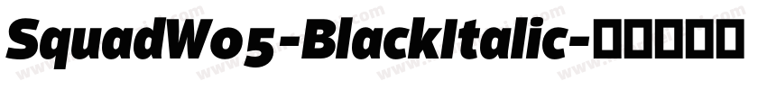 SquadW05-BlackItalic字体转换