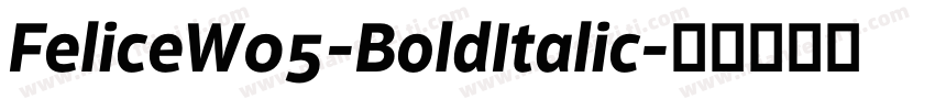 FeliceW05-BoldItalic字体转换