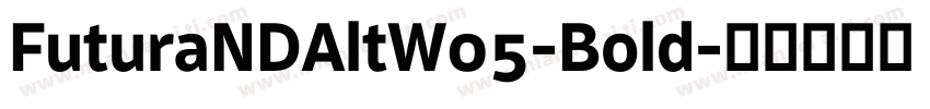 FuturaNDAltW05-Bold字体转换