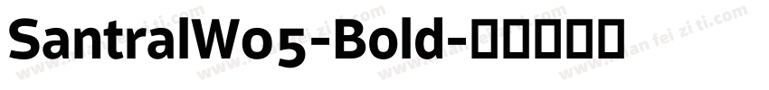 SantralW05-Bold字体转换