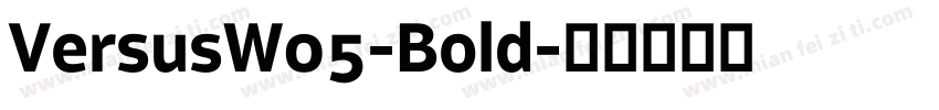 VersusW05-Bold字体转换