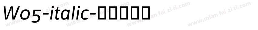 W05-italic字体转换