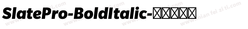 SlatePro-BoldItalic字体转换