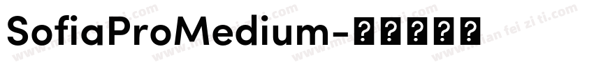 SofiaProMedium字体转换