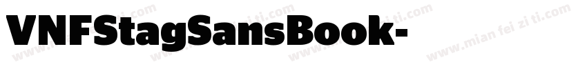 VNFStagSansBook字体转换