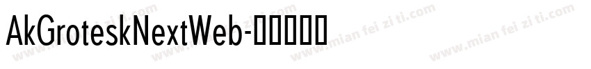 AkGroteskNextWeb字体转换