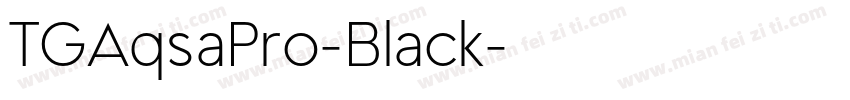 TGAqsaPro-Black字体转换