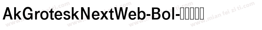 AkGroteskNextWeb-Bol字体转换