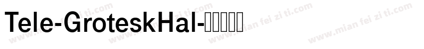 Tele-GroteskHal字体转换