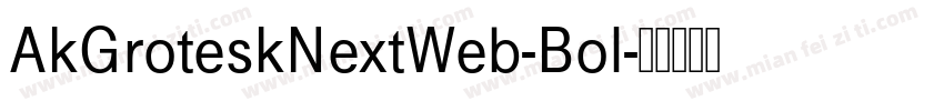 AkGroteskNextWeb-Bol字体转换