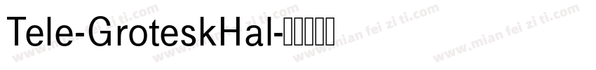 Tele-GroteskHal字体转换