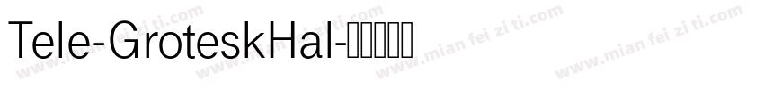 Tele-GroteskHal字体转换