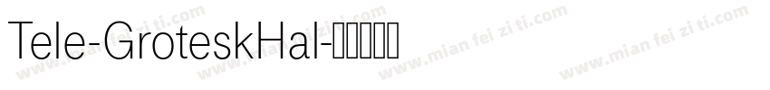 Tele-GroteskHal字体转换