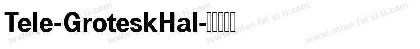 Tele-GroteskHal字体转换