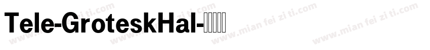 Tele-GroteskHal字体转换
