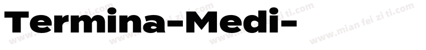 Termina-Medi字体转换