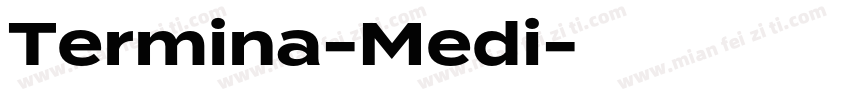 Termina-Medi字体转换