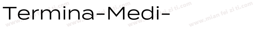 Termina-Medi字体转换