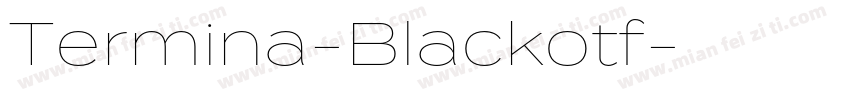 Termina-Blackotf字体转换