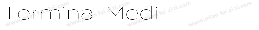 Termina-Medi字体转换