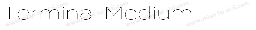 Termina-Medium字体转换