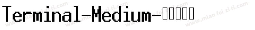 Terminal-Medium字体转换