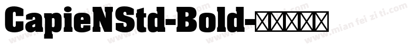 CapieNStd-Bold字体转换