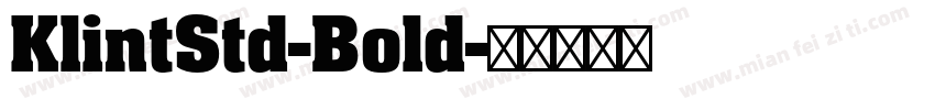 KlintStd-Bold字体转换