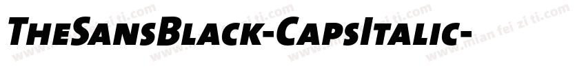 TheSansBlack-CapsItalic字体转换