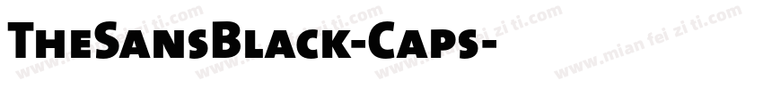 TheSansBlack-Caps字体转换