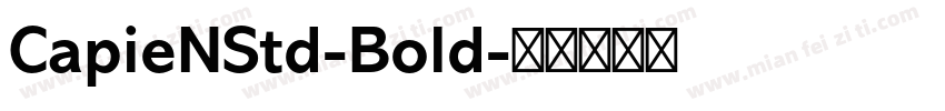 CapieNStd-Bold字体转换