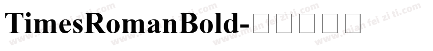 TimesRomanBold字体转换