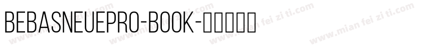 BebasNeuepro-Book字体转换