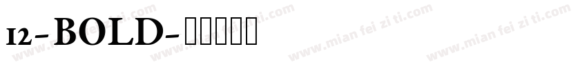 12-BOLD字体转换