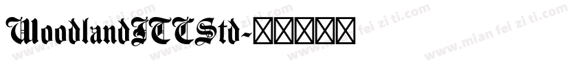 WoodlandITCStd字体转换